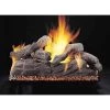 Rasmussen 18" Manzanita Double Face Natural Gas Log Set, Match Light