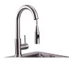 Lynx Professional Gooseneck Pull Down Faucet - LPFK